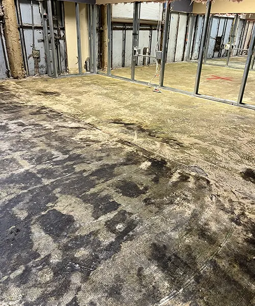 Mastic Removal in Lynnwood 
